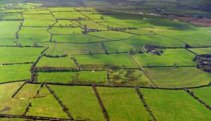 ‘On our approach into Dublin, once we have lurched our way through several layers of those dark, threatening clouds, there it is, in all of its verdant shades.’ Photograph: David Sleator/The Irish Times