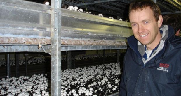 Raymond Codd of Codd Mushrooms: the mushroom industry is worth more than €112 million and now employs more than 3,200 people in Ireland