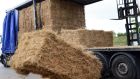 Farms are  “a dangerous place. We need to go in and farm defensively, think defensively. We have to get a change in attitudes,” IFA president  Eddie Downey has said. “We cannot keep going on losing lives the way we are.” File photograph: Eric Luke/The Irish Times