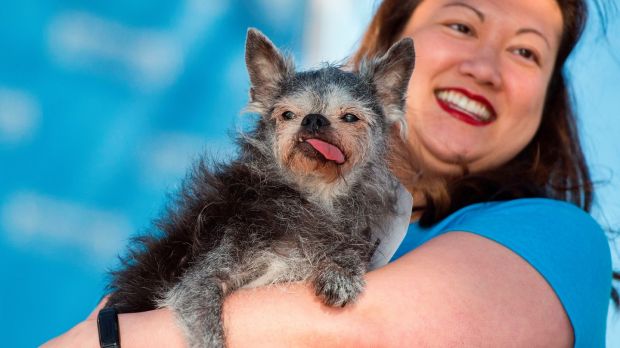 Looking ruff: Martha has been crowned the ugliest dog in the world