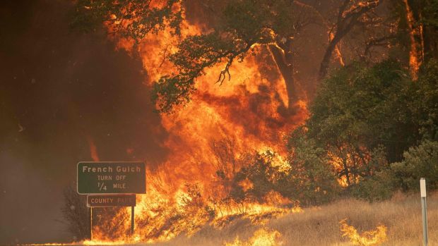   Trees caught fire at the Carr fire near Whiskeytown, California on July 27, 2018. Photograph: Josh Edelson / AFP / Getty Images 