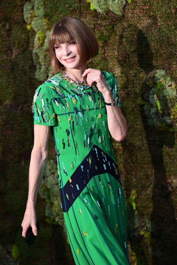   Green carpet: Anna Wintour, editor of American Vogue. Photo: Miguel Medina / AFP / Getty 