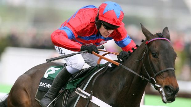 Sprinter Sacre Looks The One To Beat In Queen Mother Champion Chase