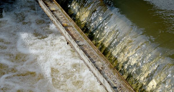The facility treats water for domestic and commercial purposes for 248,000 people living in Dublin and Wicklow.  Photo: David Sleator/The Irish Times