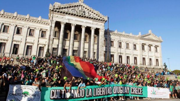 People hold a banner reading “Cultivating the freedom Uruguay grows”, during the so-called “Last demonstration with illegal marijuana” in front of the Congress building in Montevideo. Photograph: Andres Stapff/Reuters