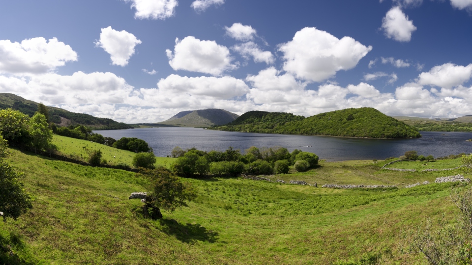 Go Walk: Lackavrea Forest, Galway