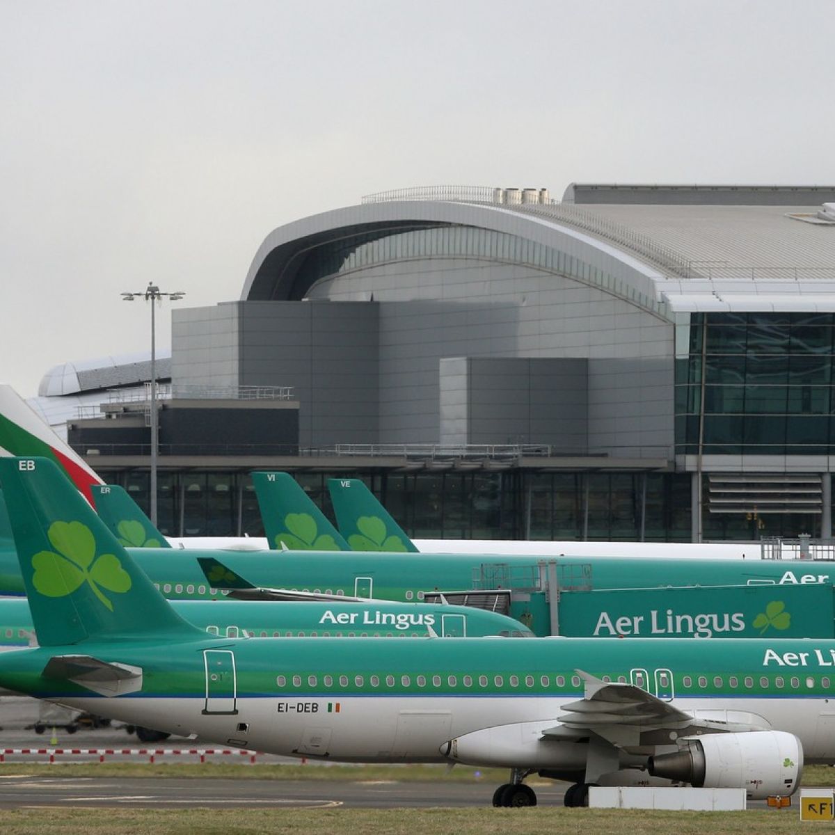 aer lingus regional flights baggage