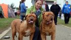 Christing Guckian, from Roscommon, with Nibbles and Kail, two Dogue de Bordeaux, at the St Patrick’s Celtic Winners Dog Show at the National Show Centre, Dublin. Photograph: Eric Luke/The Irish Times. 
