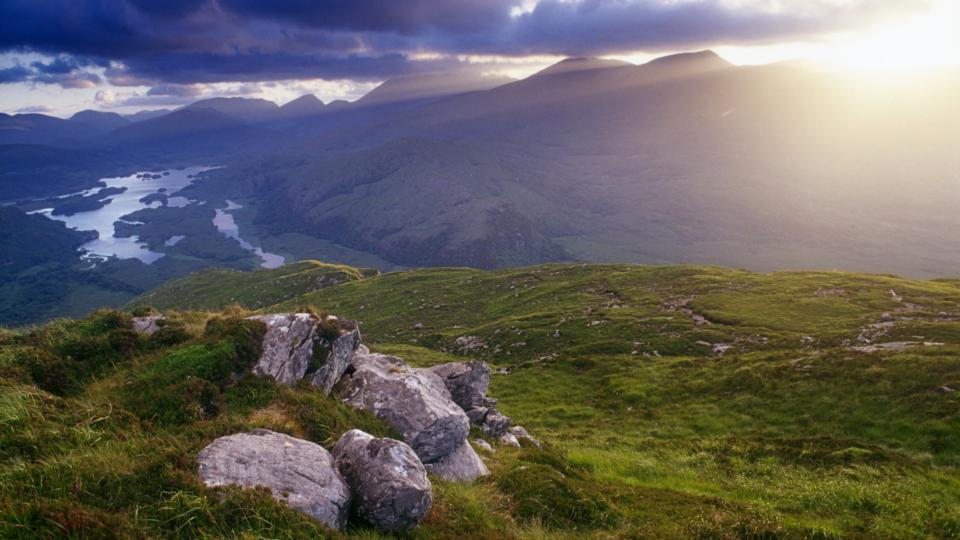 First Sea Eagle Chicks In 100 Years Take Flight In Kerry