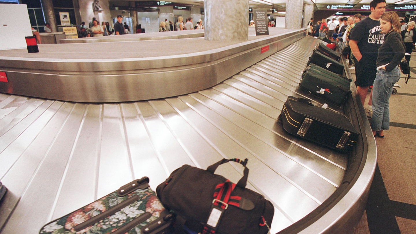 domestic flight baggage