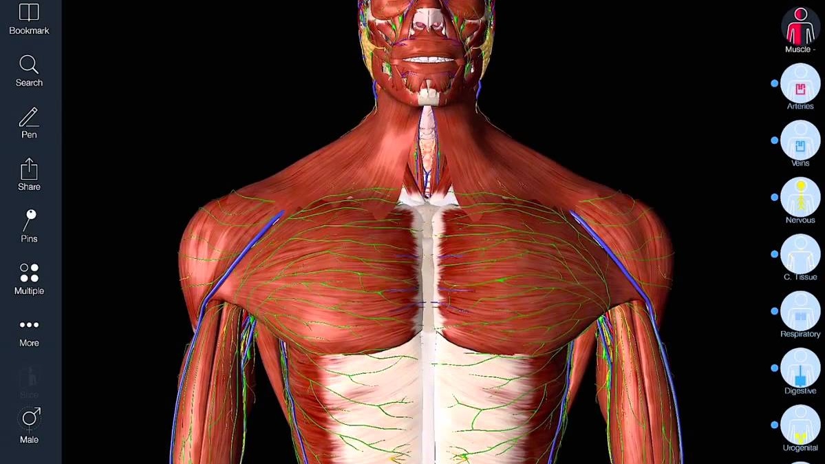 3d4medical download complete anatomy