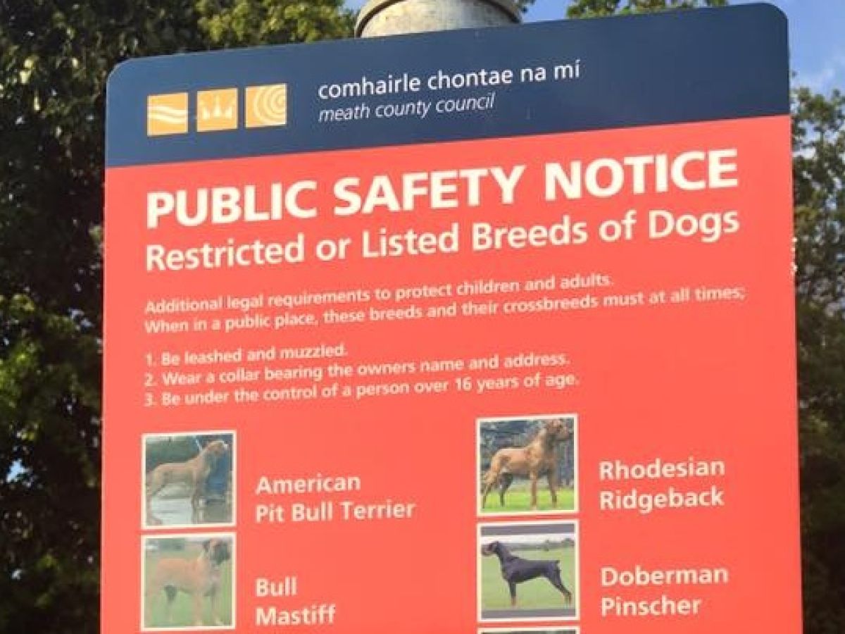 What dogs are banned in ireland