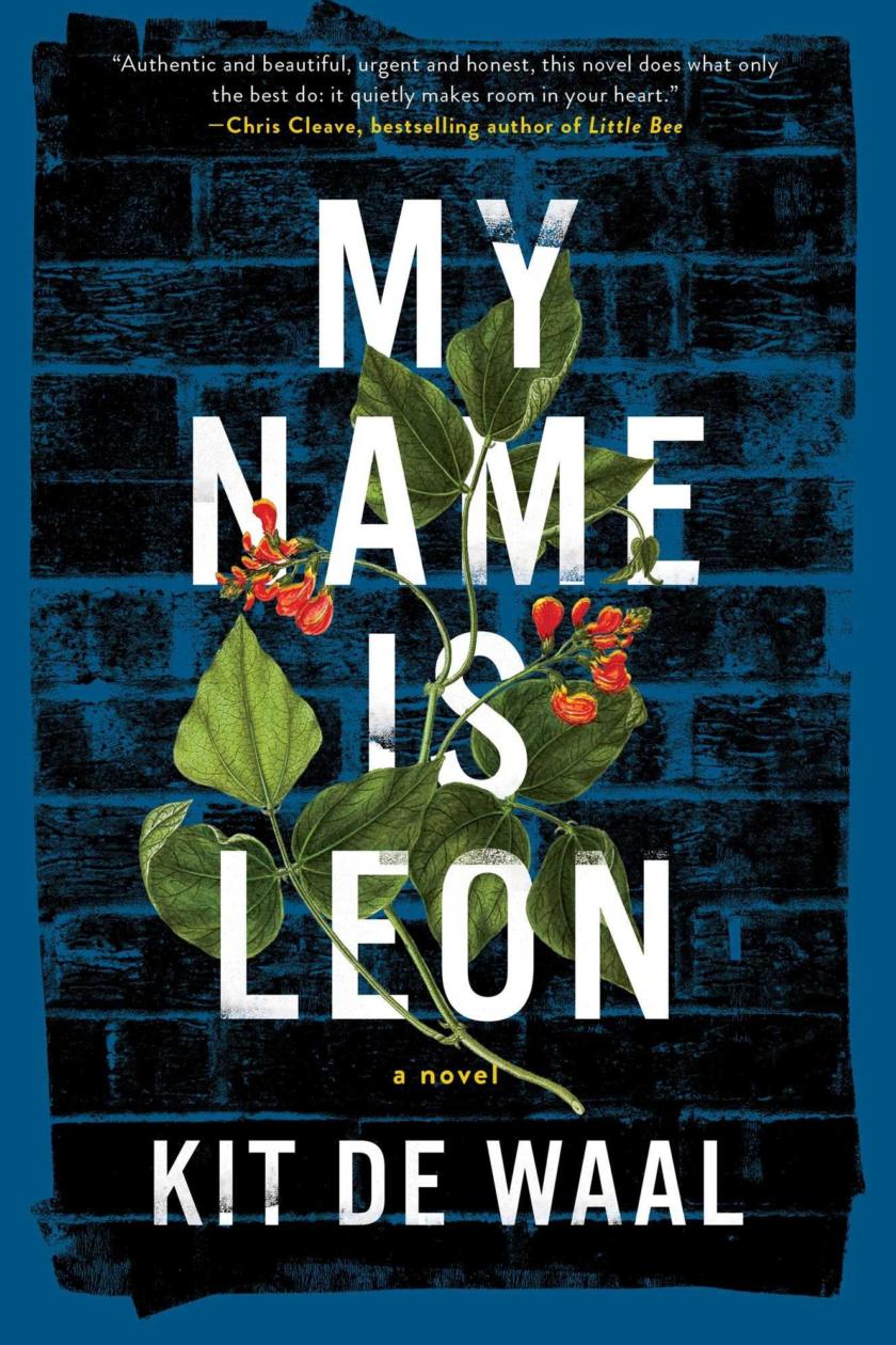 My Name Is Leon By Kit De Waal Review Brotherly Love Under Threat