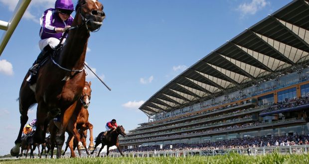 Highland Reel Takes King George Vi And Queen Elizabeth Stakes At Ascot