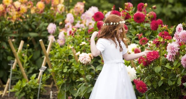 arnotts mother of the bride outfits