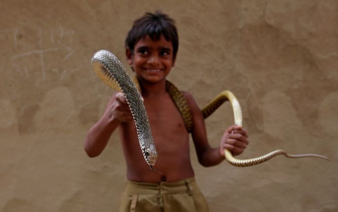 The Snake Charmers Of Jogi Dera