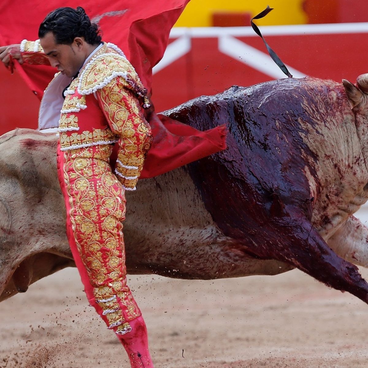 Furore Over Death Of Matador Highlights Bullfighting S Woes