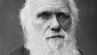 Charles Darwin was 40 by the time he was ready to publish ‘On the Origin of Species by Means of Natural Selection’. Photograph: Richard Milner Archive