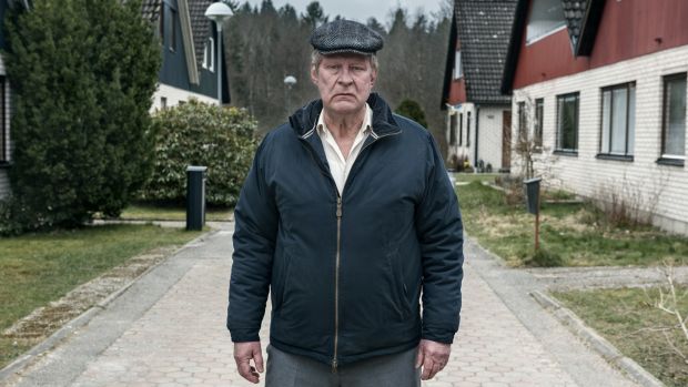Image result for A man called ove