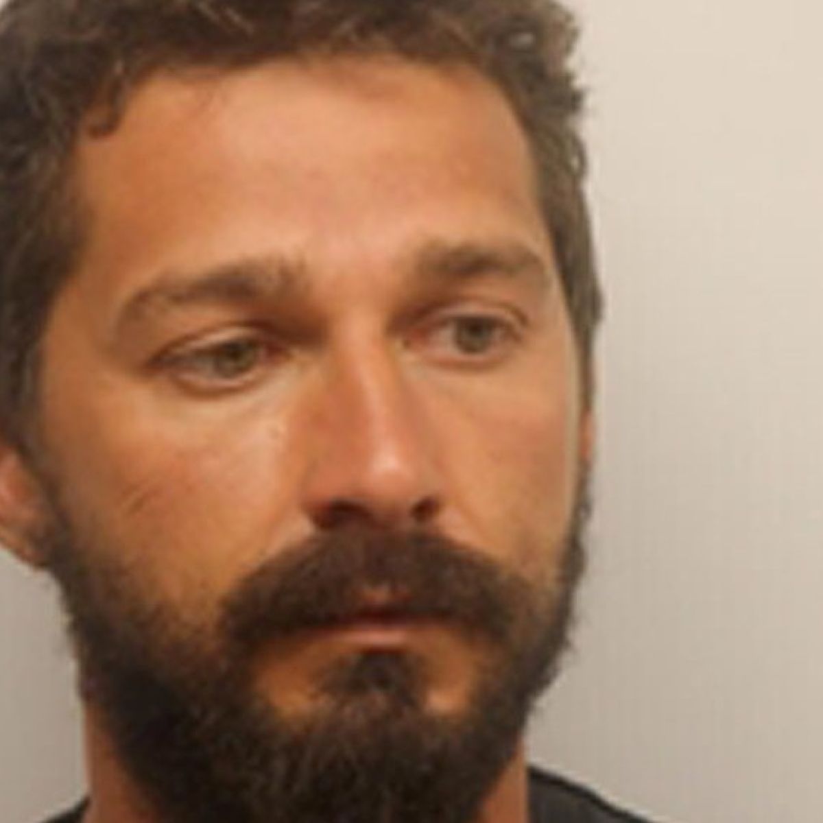 Shia Labeouf Deeply Ashamed Of Racial Outburst Following Arrest