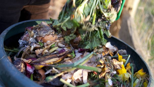 You can put your kitchen waste in a composting bin