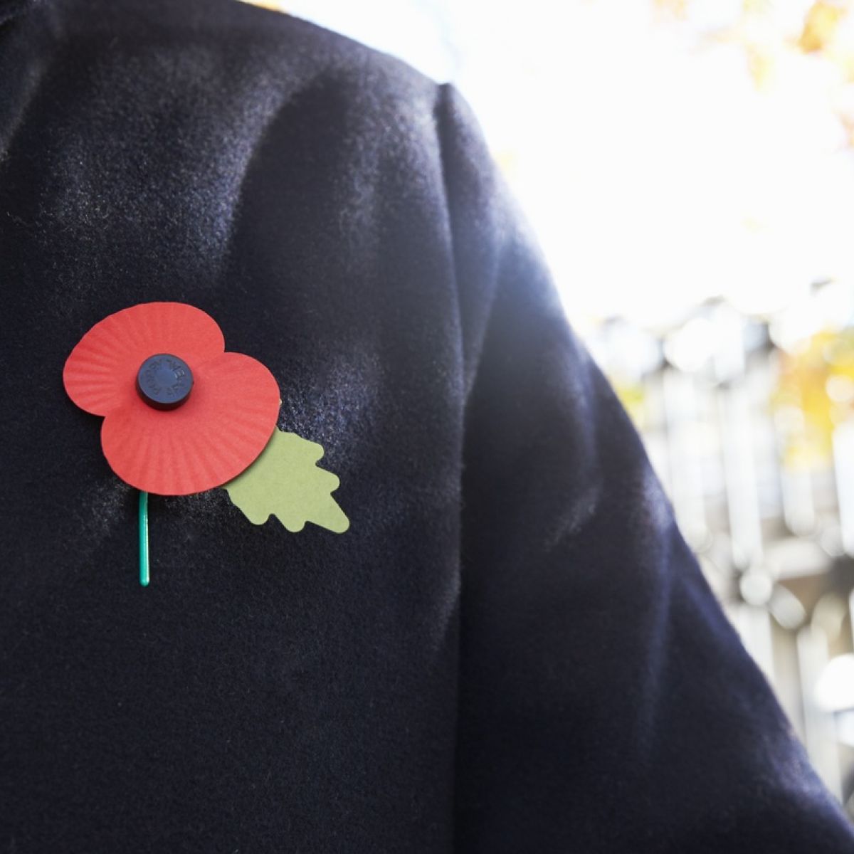 Q A What Is The Poppy Appeal And Why Is It So Controversial