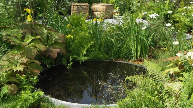 Pond Life How To Get Your Water Garden Fit For Fish And Flowers