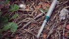 Repair works could not take place for some time on a section of rail line in Dublin because of discarded syringes in the area. Photograph: Getty