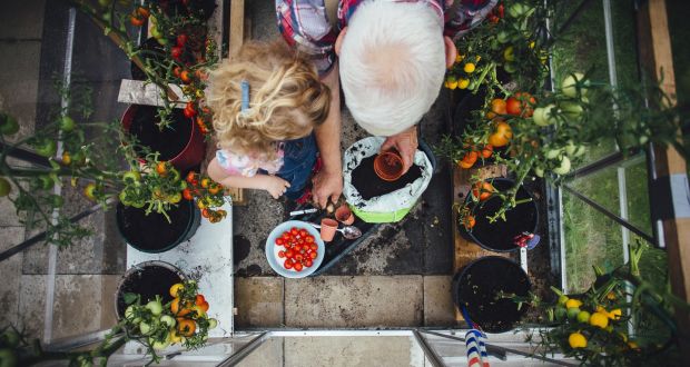 Indoors On A Balcony Or Garden Everyone Can Grow Their Own Food