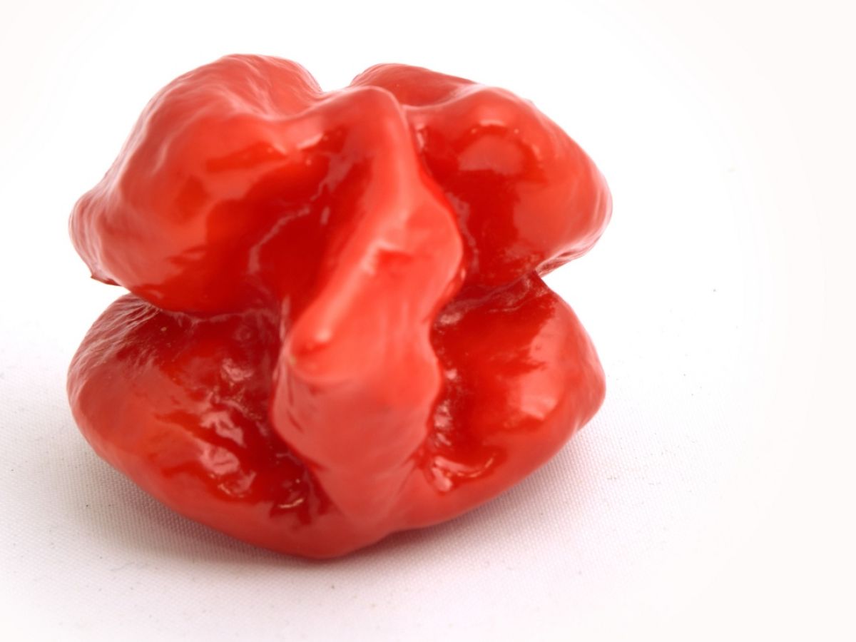 Man Hit By Thunderclap Headaches After Eating World S Hottest Chilli Pepper