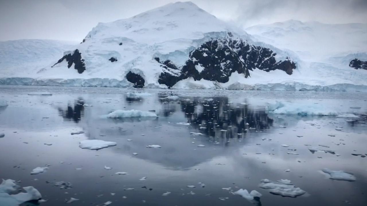 Plastic in Antarctica highlights scale of global pollution - Greenpeace