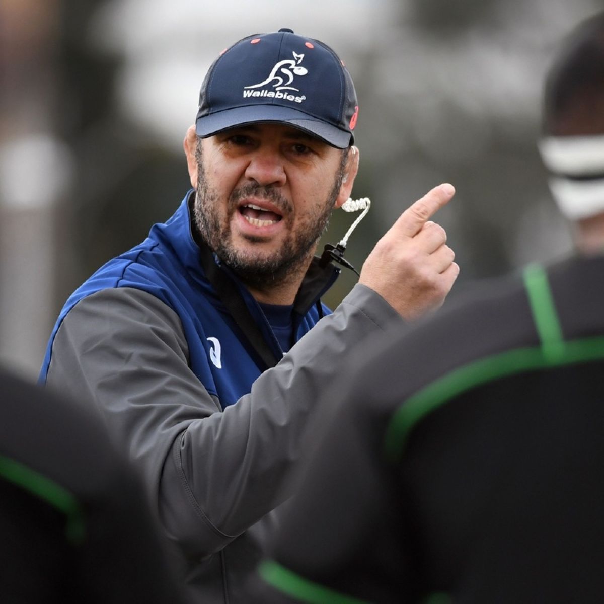 Michael Cheika Hits Back At Neil Francis In War Of Words