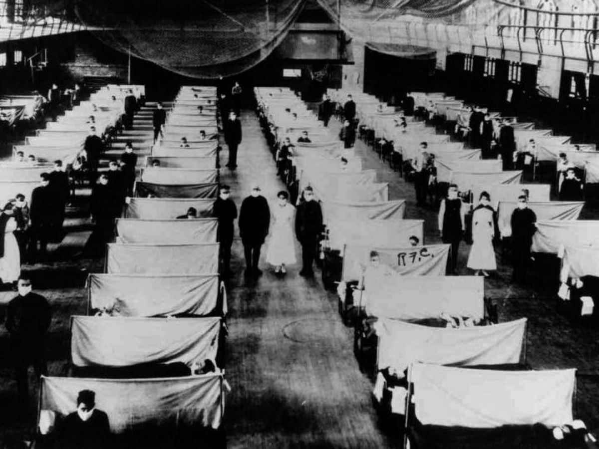 Stacking The Coffins Influenza War And Revolution In