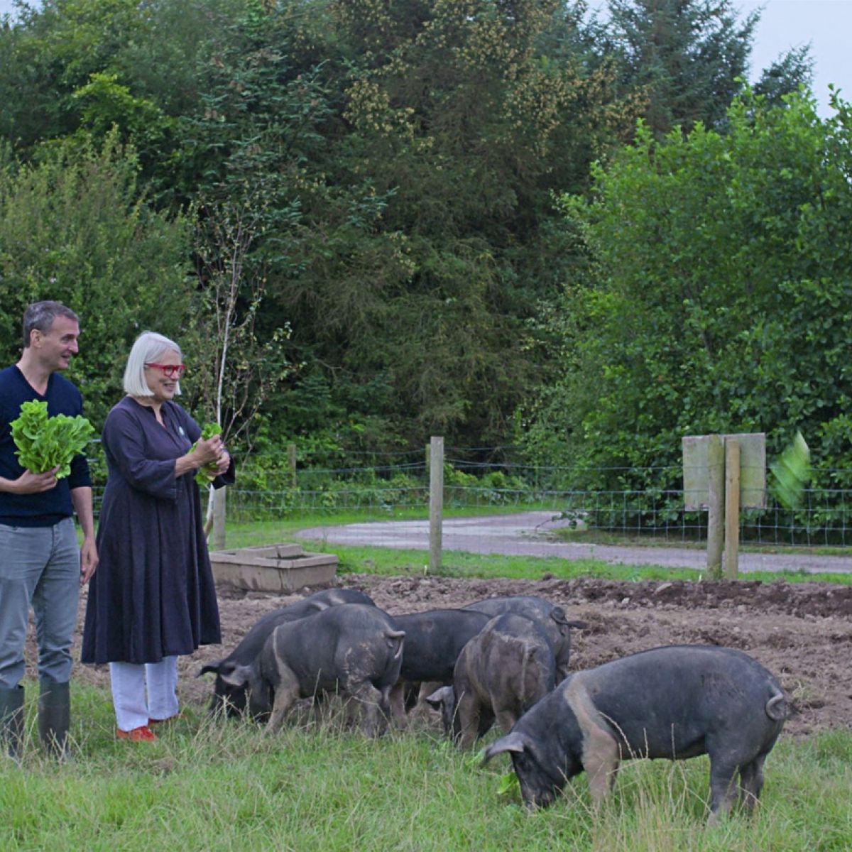 Netflix Releases Irish Food Show From Everybody Loves Raymond Creator