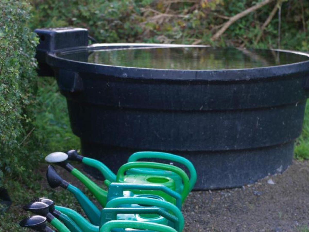 Harvest Water The Garden Will Thank You