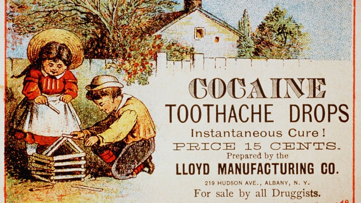 Cocaine Tooth Powder Useful For Toothache And Spongy Gums