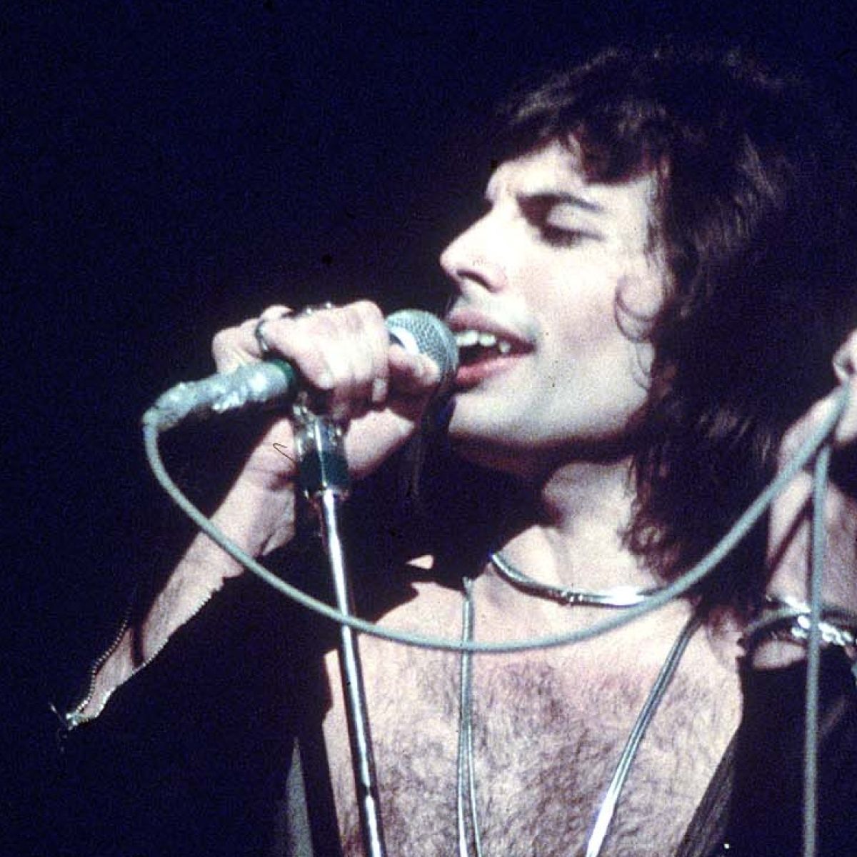 Freddie Mercury Bohemian Rhapsody Is No Tribute Its Full - roblox song id for we will rock you