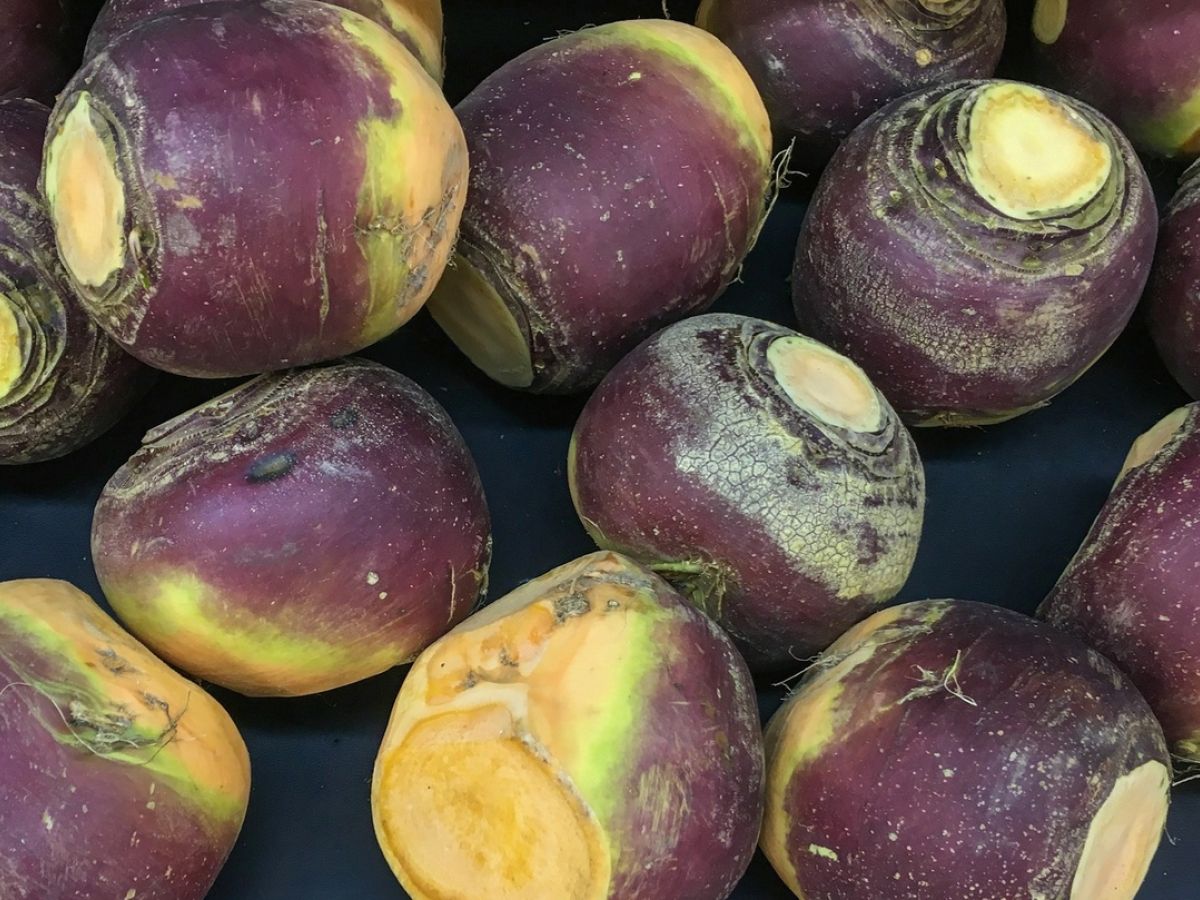 You Say Swede We Say Turnip Let S Call It Rutabaga