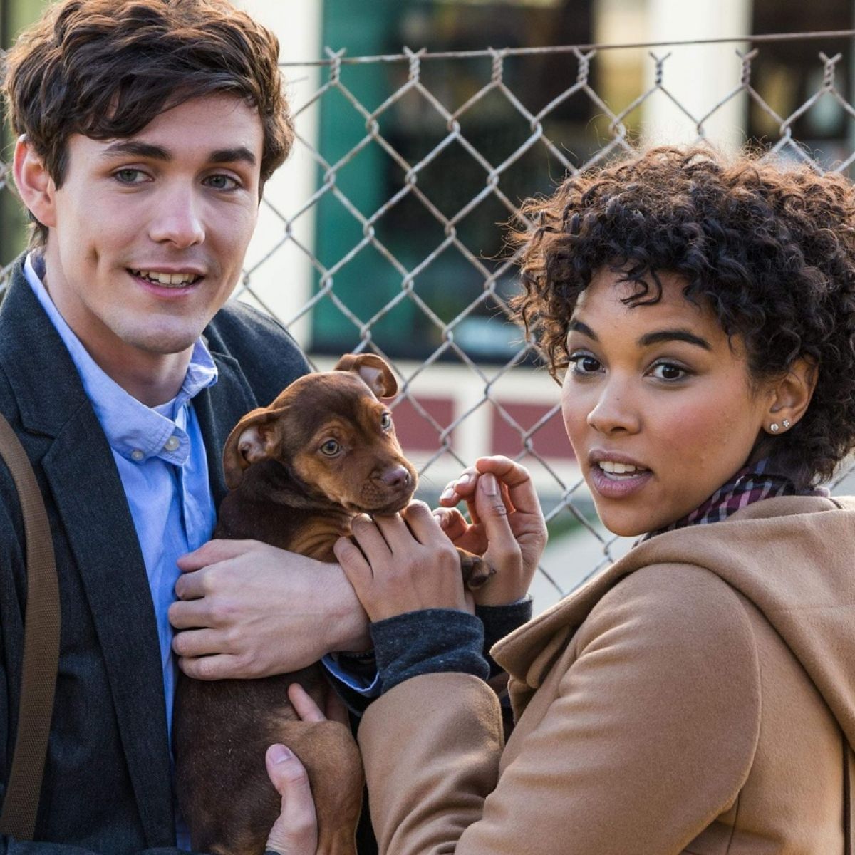 Limited A dogs way home full movie netflix Trend in 2022