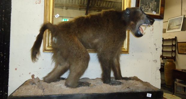 stuffed baboon