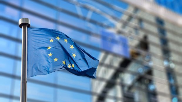 Farmers are calling for a big increase in EU supports, and there is some precedent for this. Photograph: iStock