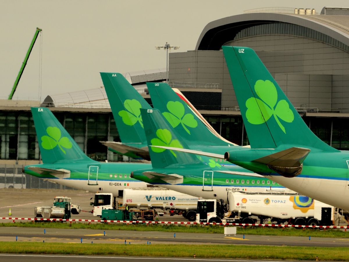 aer lingus add baggage