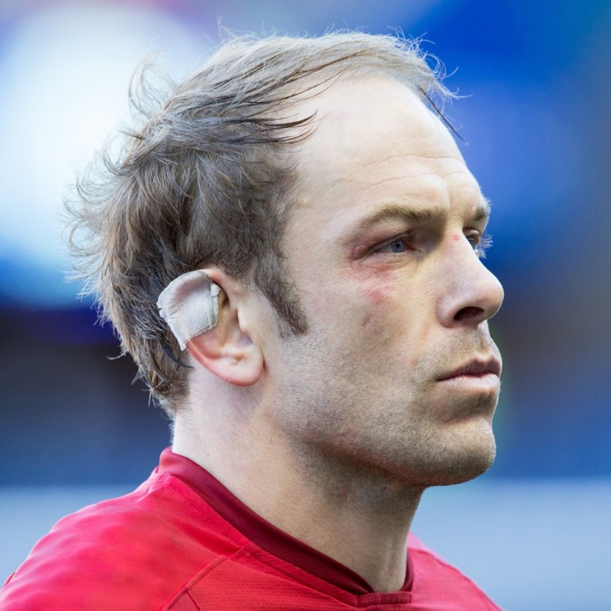 21++ Alun wyn jones ears ideas