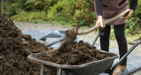 Mulch: the great garden cure-all