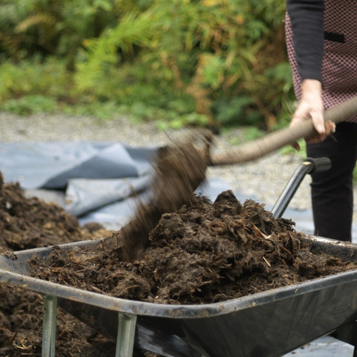 Mulch The Great Garden Cure All