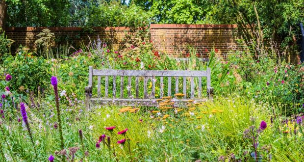 Get Into Your Garden It Makes You Happier Healthier And Less