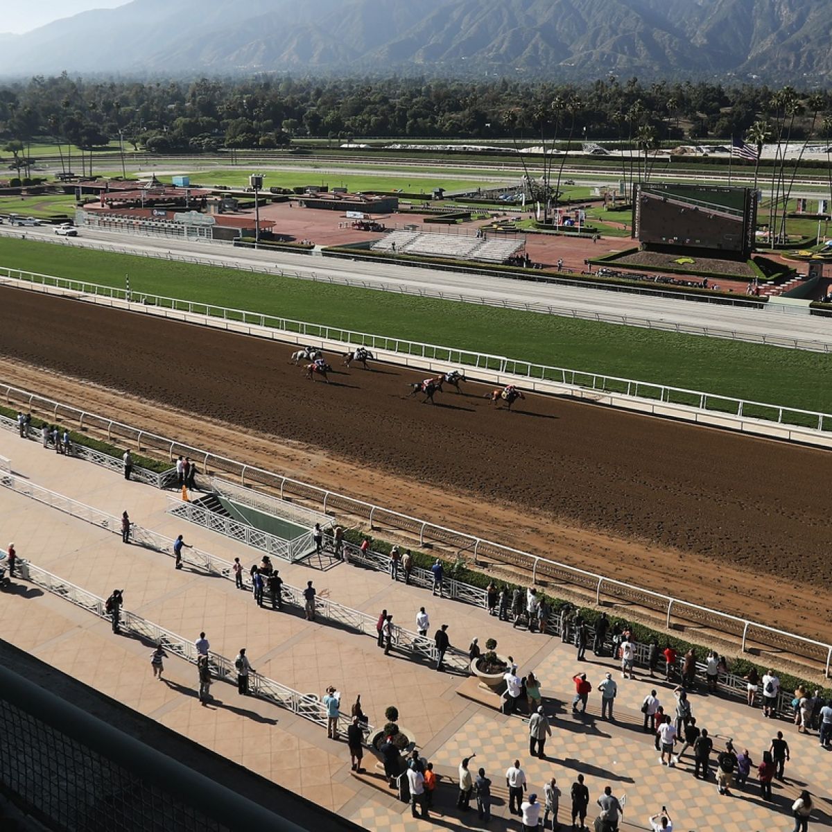 How Horse Racing Went Horribly Wrong At Santa Anita