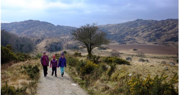 Kerry Council To Erect Warning Signs About Risk Of Lyme Disease