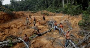 Why Have Rainforest Fires In The Amazon Sparked Global Concerns