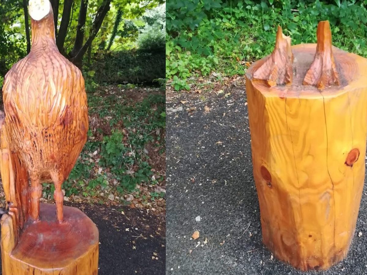 Vandals Destroy Wooden Bird Sculptures In Killarney National Park